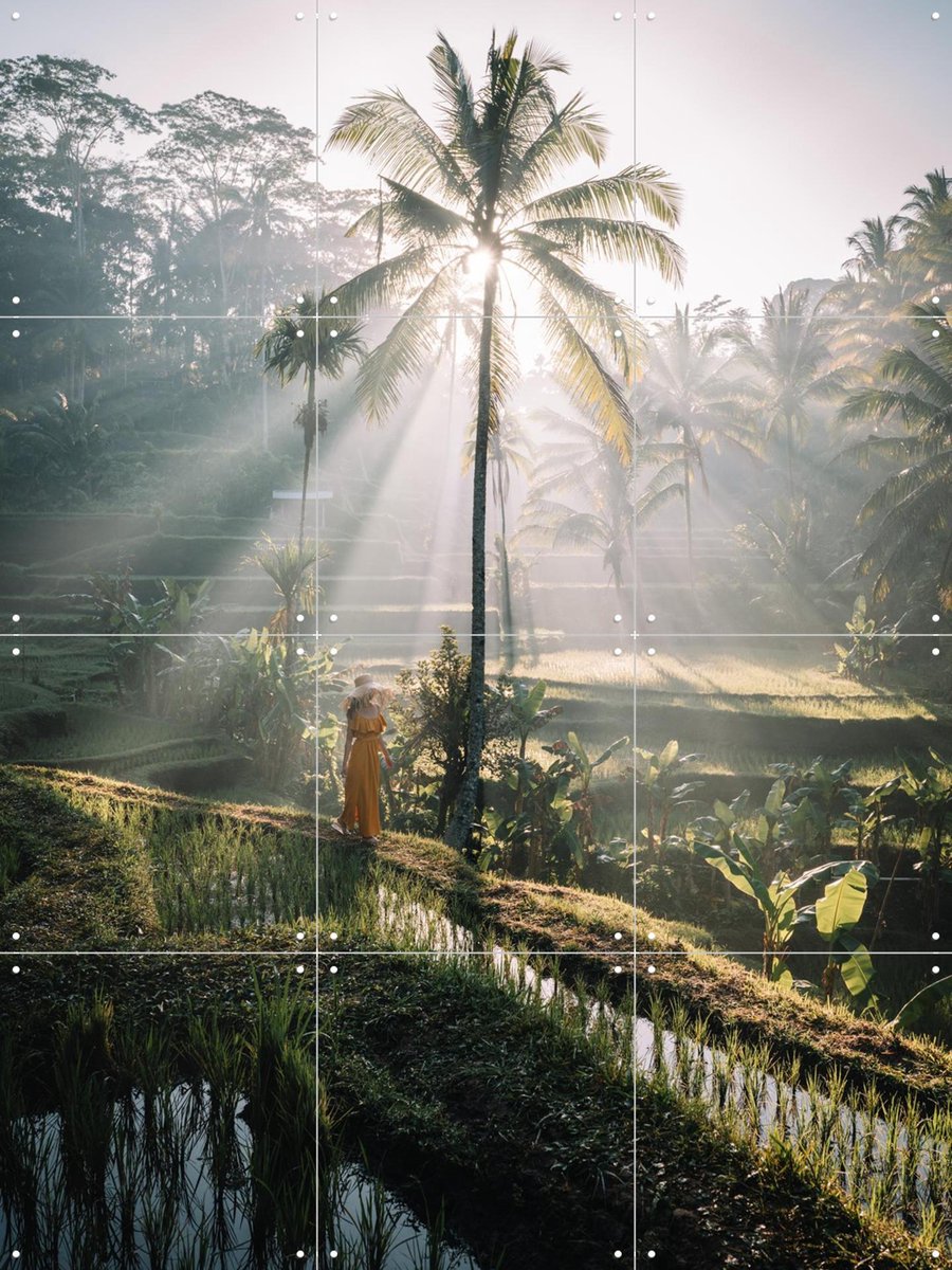 IXXI Bali, Tristan Zhou - 60 x 80 cm - Gratis ophangtool - Grote wanddecoratie en posters - Fotografie, Kleurrijk, Naturalisme, Woonkamer, Slaapkamer