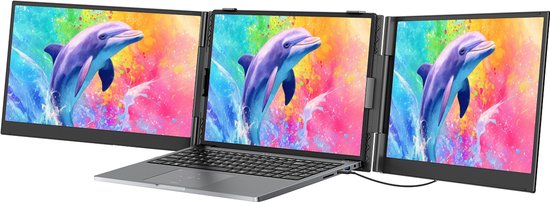 Zijaanzicht van een grijze laptop met drie Blackview DCM8 Pro schermen, elk met een kleurrijke afbeelding van een dolfijn.
