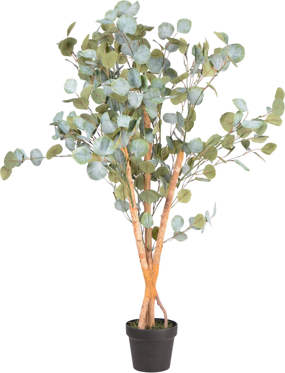 UNUS Kunstplant Eucalyptus 80 cm met echte houten stam, kamerplant met natuurlijke houten stam Groen