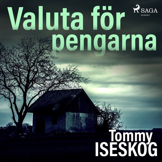 Valuta för pengarna - cover