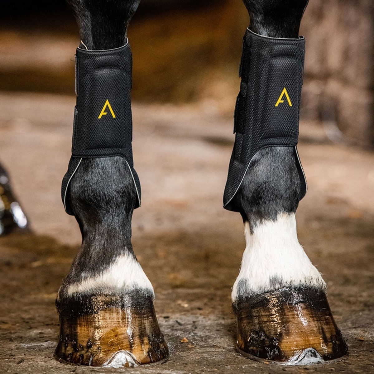 HORSEWARE ADAGIO BEENBESCHERMERS Zwart