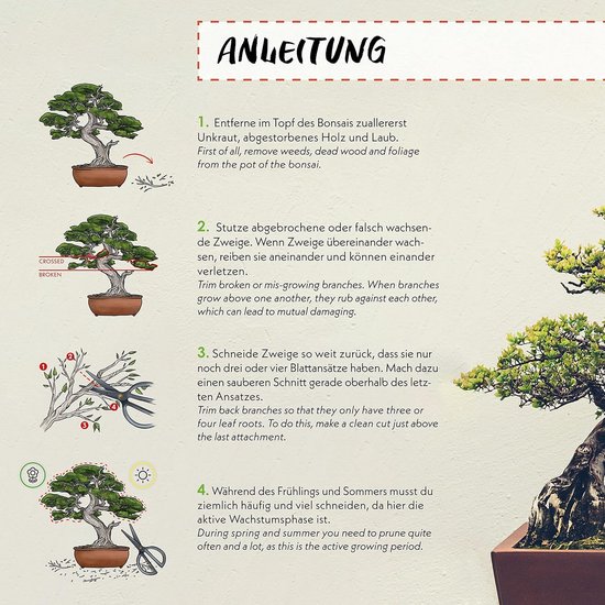 Scherpe bonsai-schaar van staal - traditioneel bonsai-gereedschap voor een professionele bonsai-kweek - ideaal voor knopen, bladeren en takken van BrightLiving — afbeelding 5