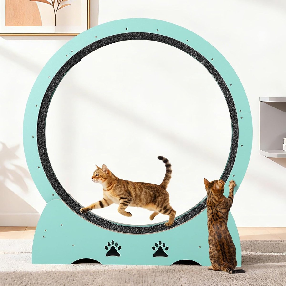 Dierenbenodigdheden - Mintgroen Houten Kattenlooprad met tapijtbedekte loopbaan - Geluidsarm verwijderbaar tapijtkattenwiel voor binnenkatten en kittens