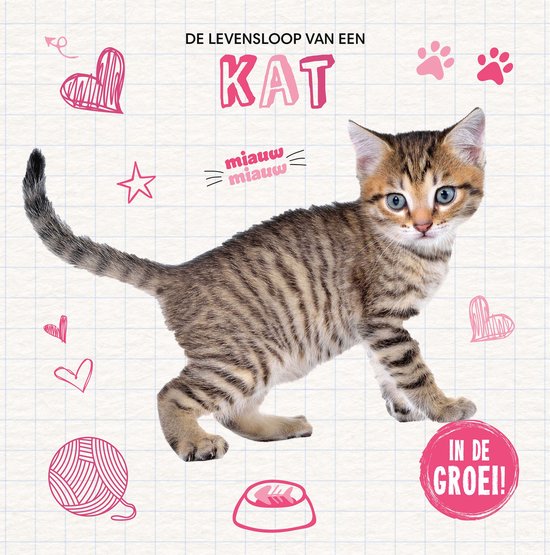 De levensloop van een… - Kat
