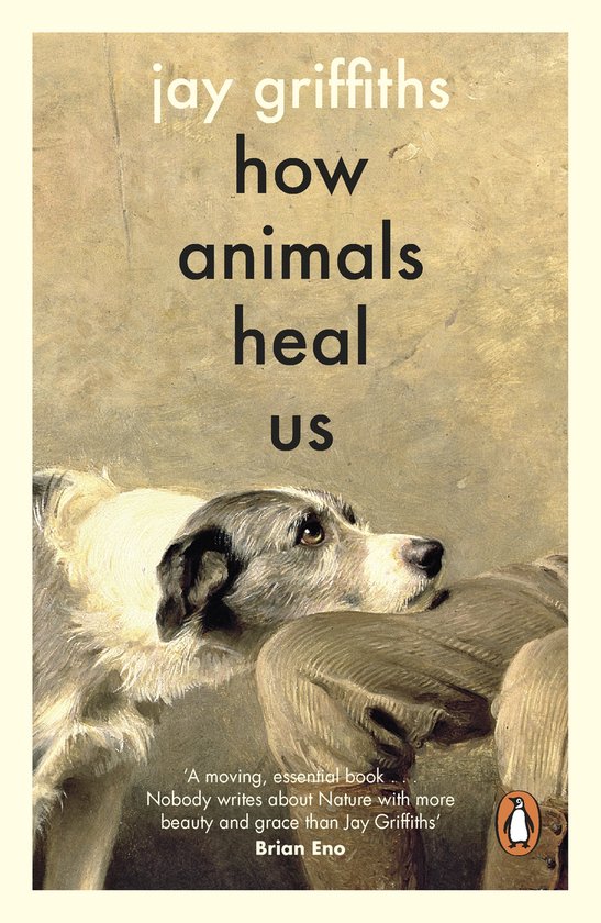 Couverture du livre "How Animals Heal Us" avec une peinture d'un chien couché sur un coussin. Titre et nom de l'auteur en lettres noires.