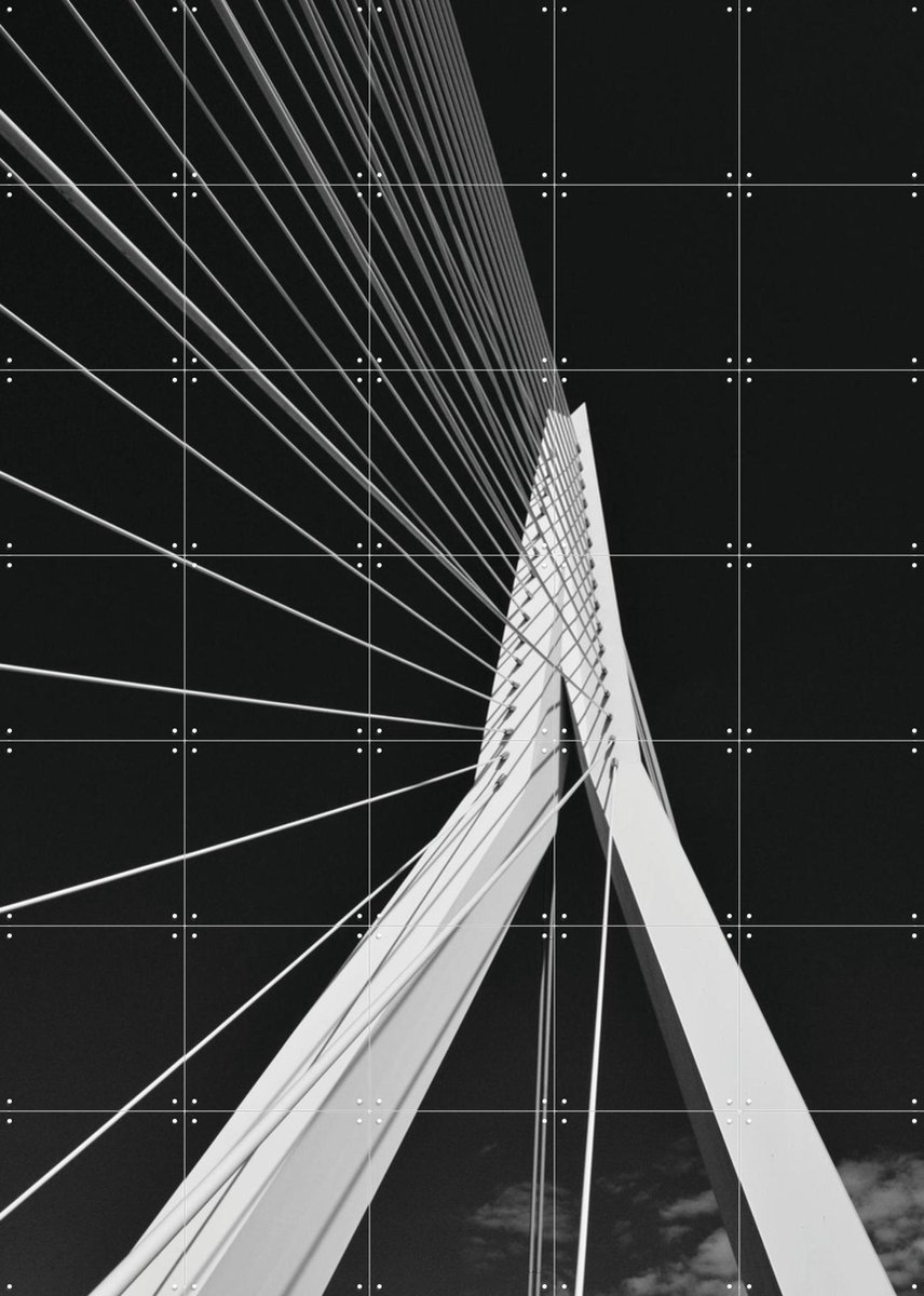 IXXI Erasmus Bridge, Edwin Fotografeert & Kunst in Kaart - 100 x 140 cm - Gratis ophangtool - Grote wanddecoratie en posters - Fotografie