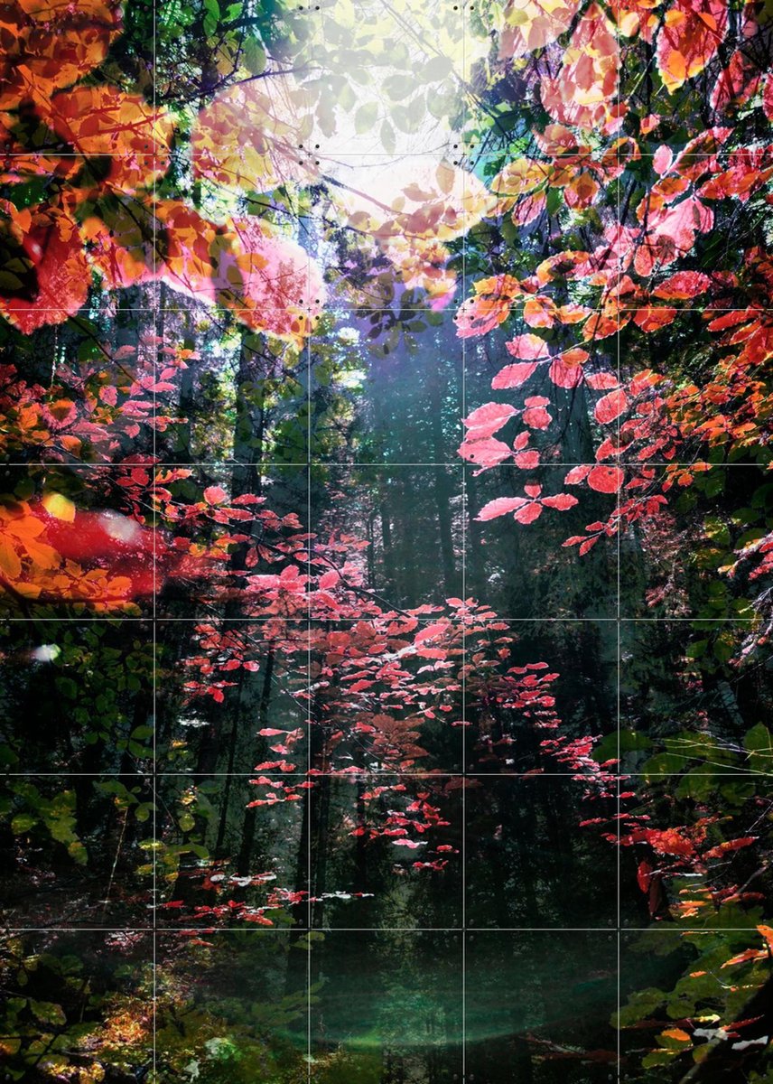 IXXI Enchanted, Angelo Cerantola - 100 x 140 cm - Gratis ophangtool - Grote wanddecoratie en posters - Fotografie, Gemengde Technieken, Woonkamer