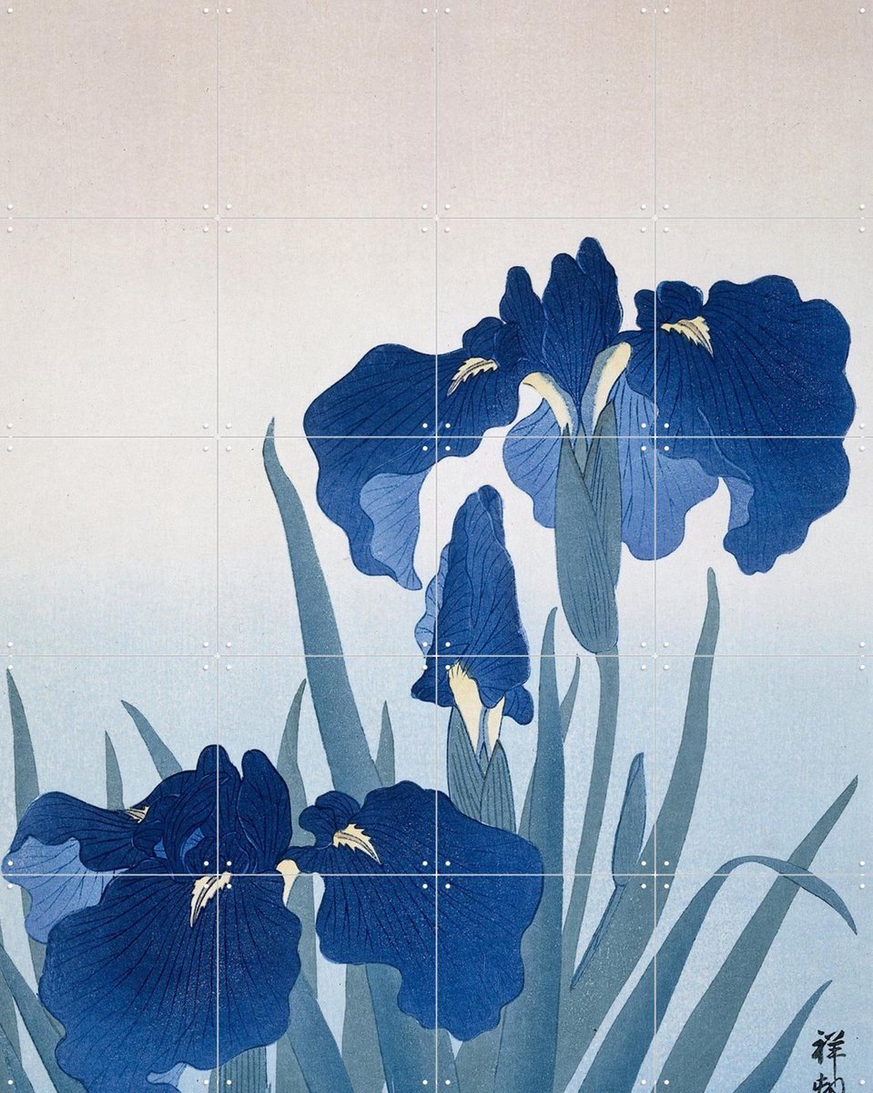 IXXI Irisis, Ohara Koson & Rijksmuseum - 80 x 100 cm - Gratis ophangtool - Grote wanddecoratie en posters - Houtsnede, Ukiyo-e, Klassiek, Woonkamer