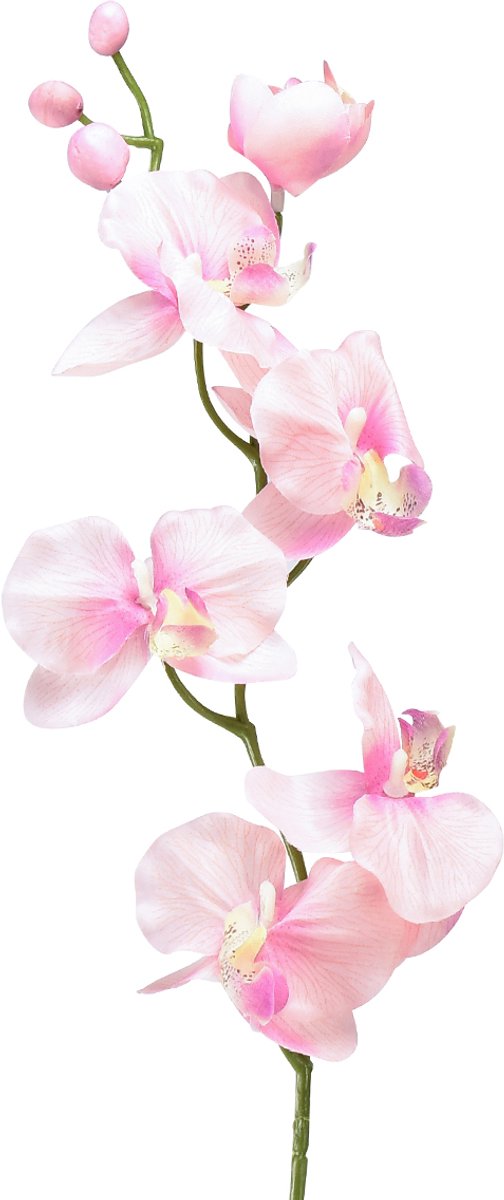 Orchidee Phalaenopsis kunst 6 bloemen roze 70cm