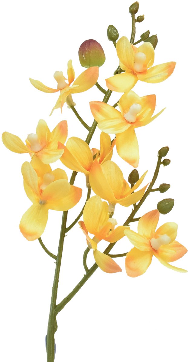 Kleine orchidee Phalaenopsis kunstgeel 30cm
