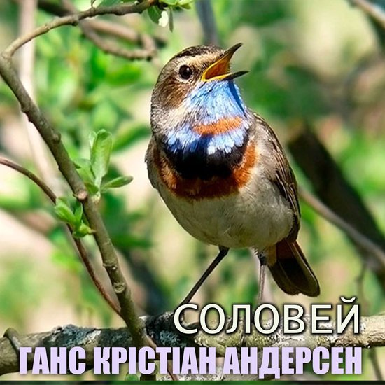 Соловей - cover