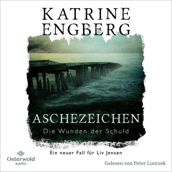 Aschezeichen (Liv-Jensen-Reihe 2) - cover
