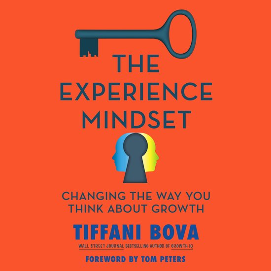 The Experience Mindset - cover