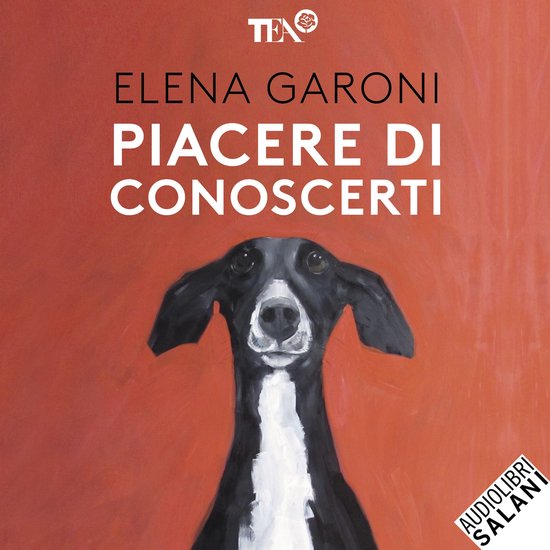 Piacere di conoscerti - cover