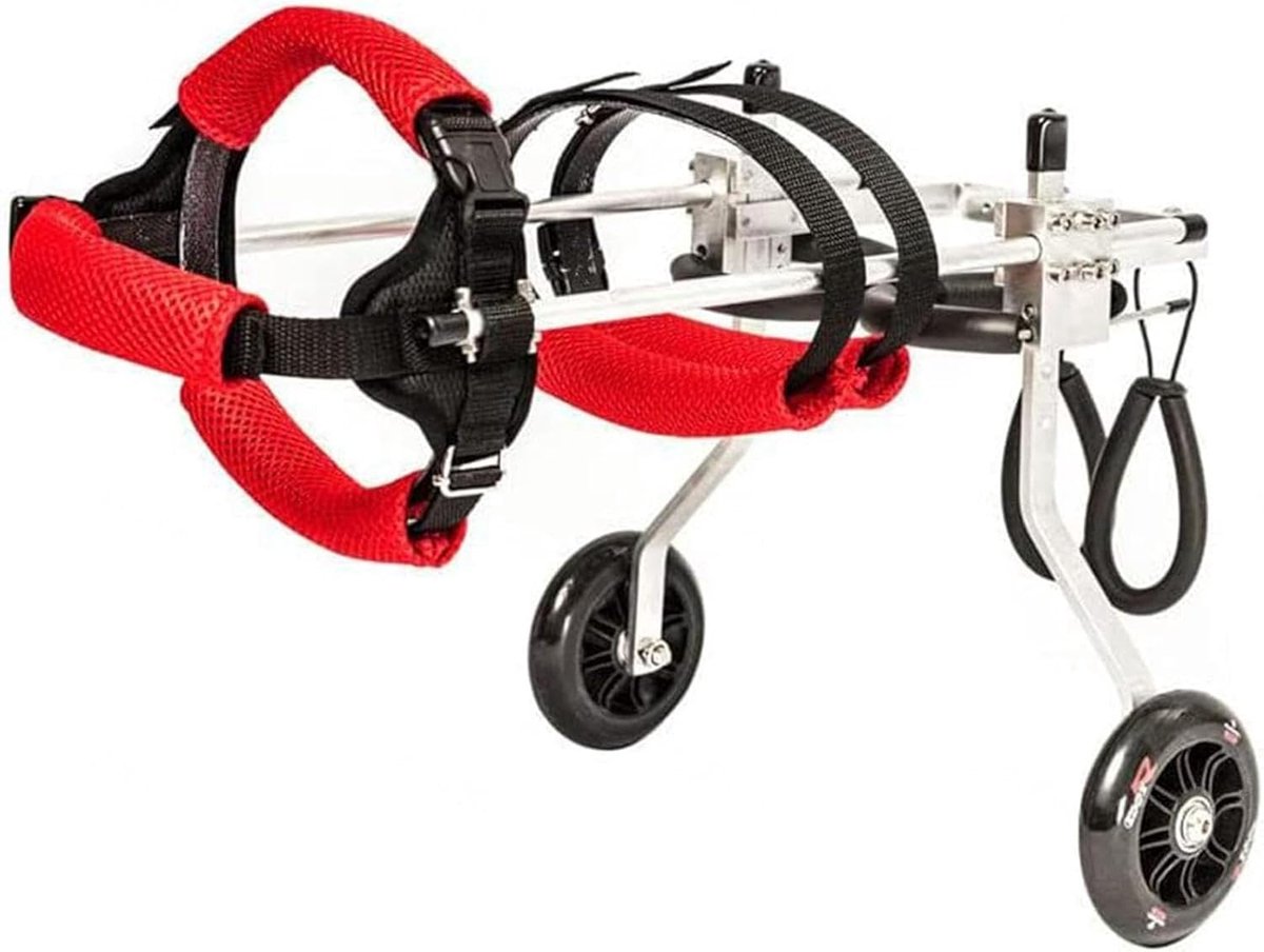 Huisdieren Rolstoel - Hondenkar Wagen - Mobiliteit Hulp - Verstelbaar Lichtgewicht - XXLarge