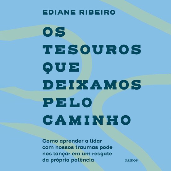 Os tesouros que deixamos pelo caminho - cover