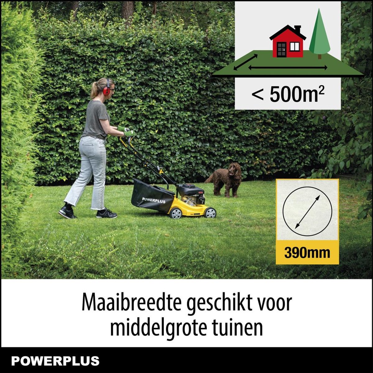 Powerplus benzine grasmaaier - 390 mm Ø en 132 cc, tuintoestel op benzine, met grasopvangsysteem en achteruitworp – foto 3