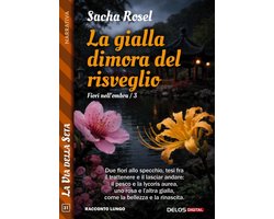 La via della seta 31 - La gialla dimora del risveglio