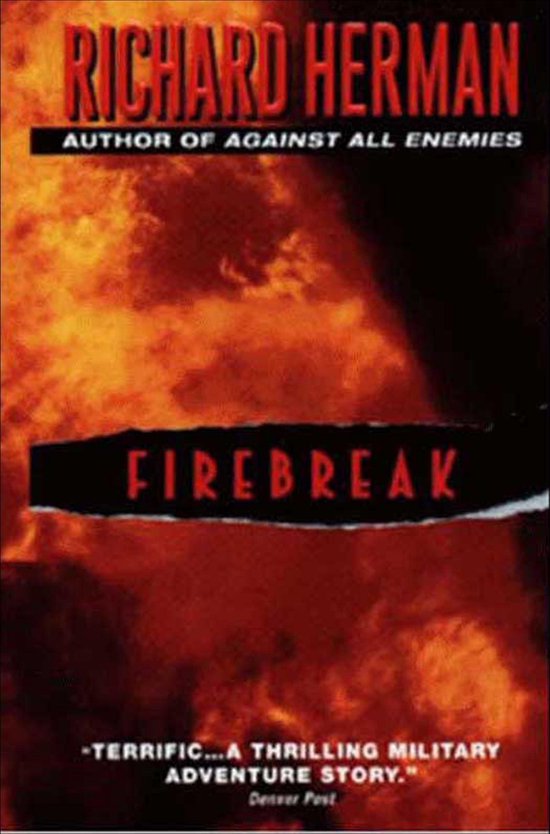 Firebreak - cover
