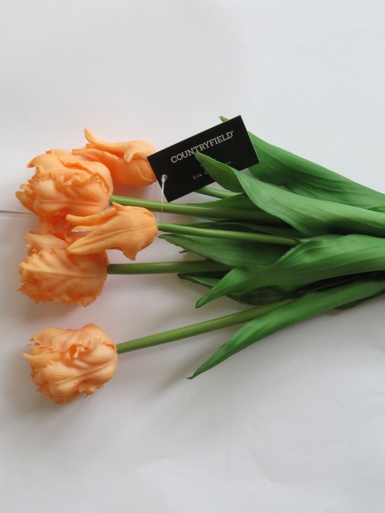 Bouquet de tulipes (perruches) saumon -L16B16H40CM