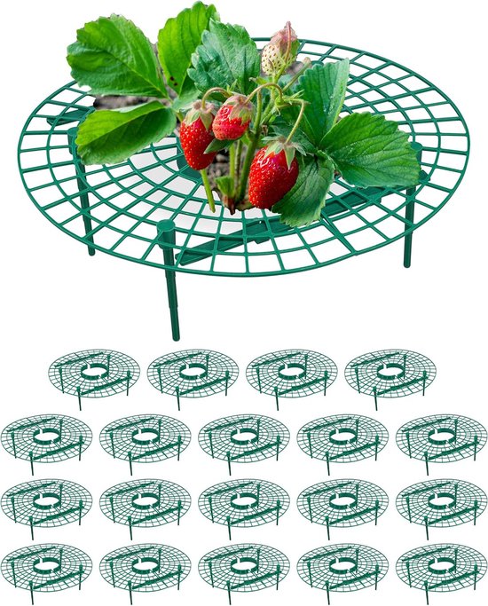 7 effectieve tips om slakken uit je moestuin te weren