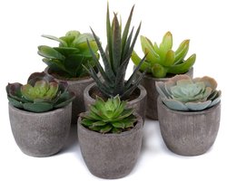 Decoratieve Bonsai-kunstplanten - Perfect voor thuis of op kantoor - 6 stuks - Groen - Kunststof