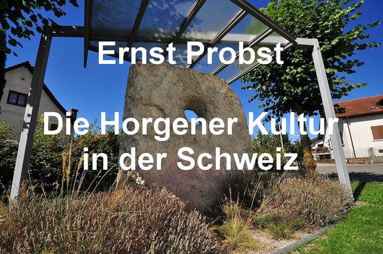 Die Horgener Kultur in der Schweiz - cover