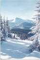 Bomen, Winter