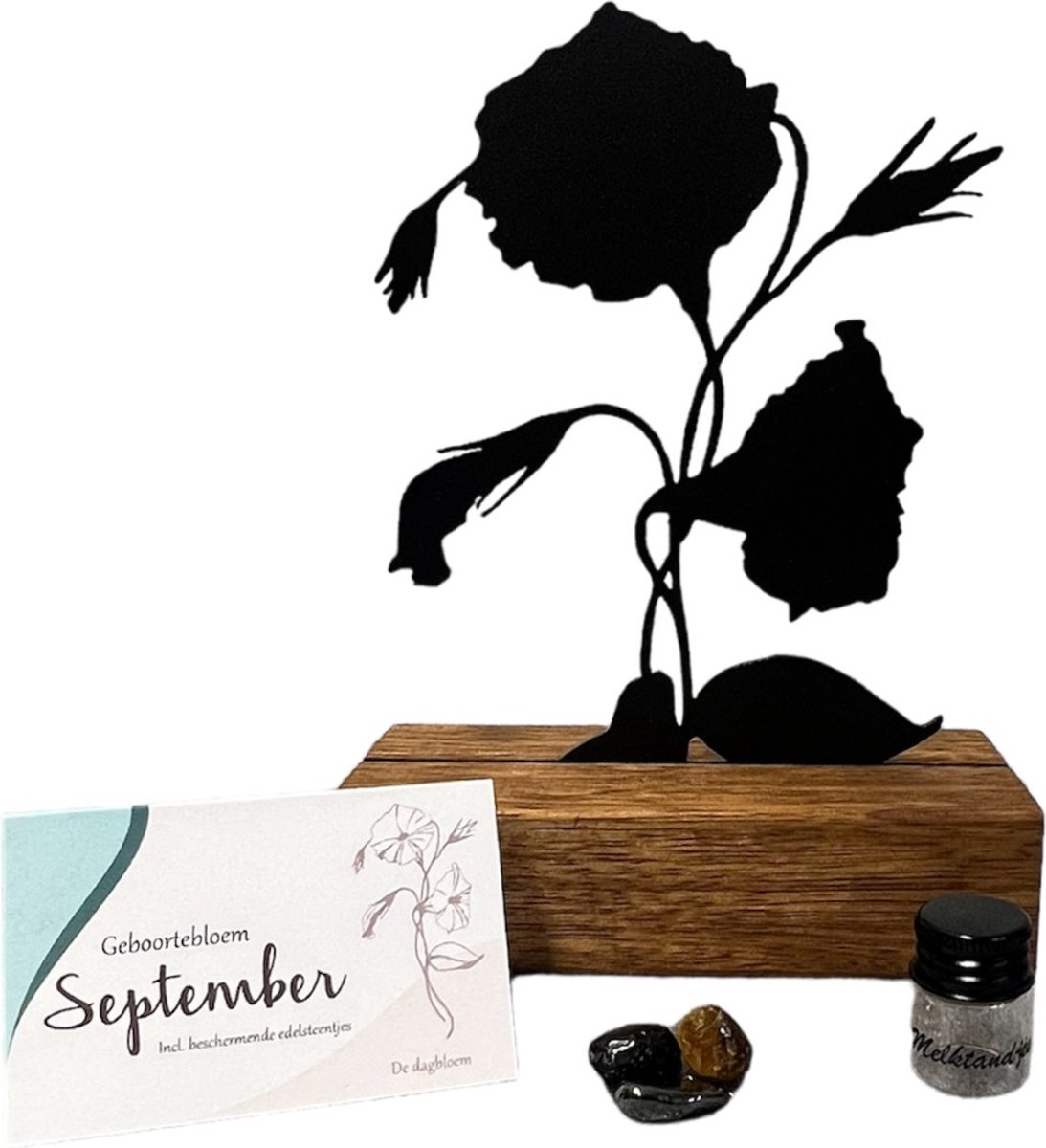 Goedkoopste Kraam cadeau - geboortebloem beeld- September - Dagbloem - mét tandendoosje / potje / haarlokpotje en beschermende edelsteentjes - metaal in houten sokkel - baby cadeau - babyshower cadeau
