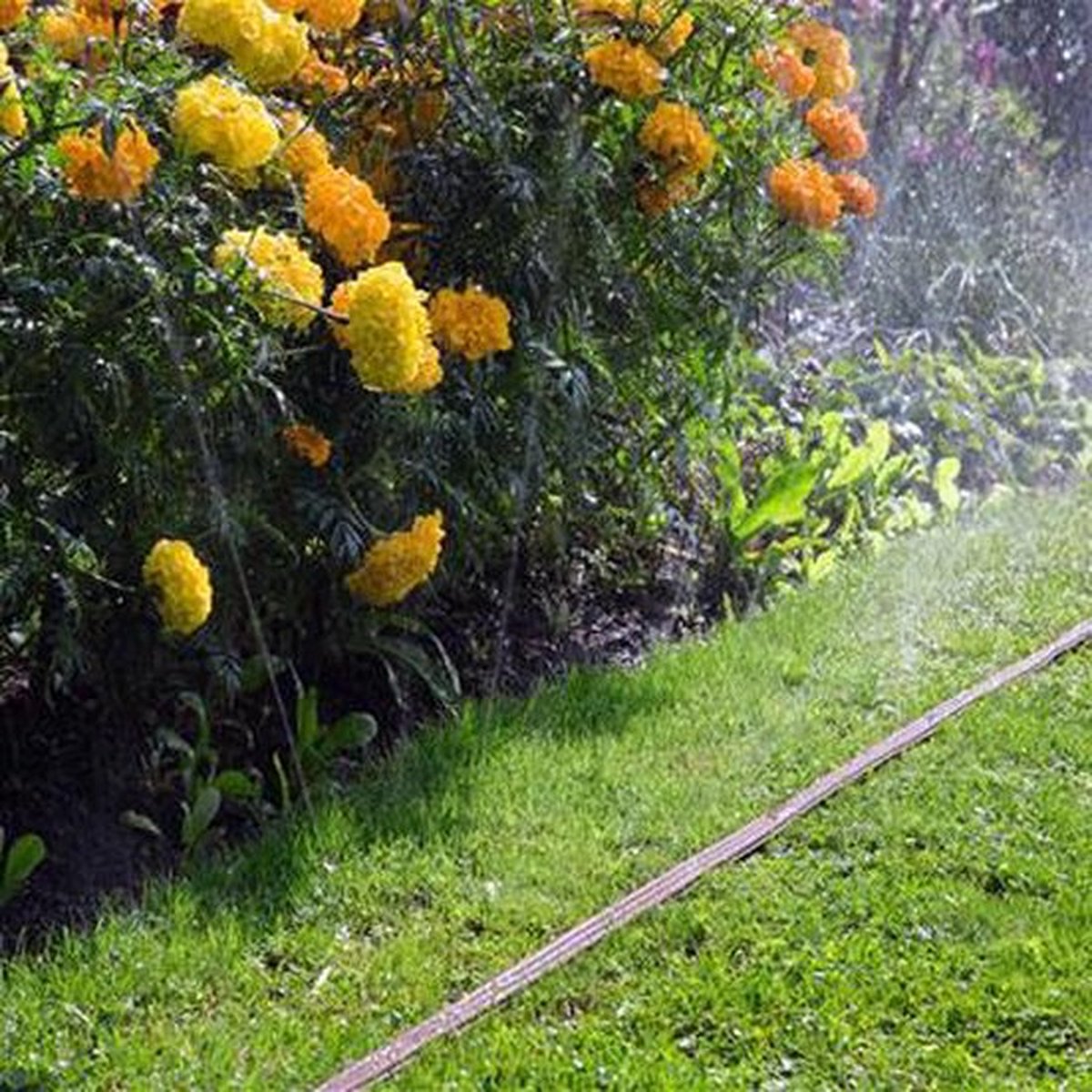 Gardena - Sproeislang - 15meter - bruin – foto 8