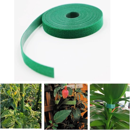 Een rol groen klittenband in de lucht, met drie foto's van planten die worden ondersteund.