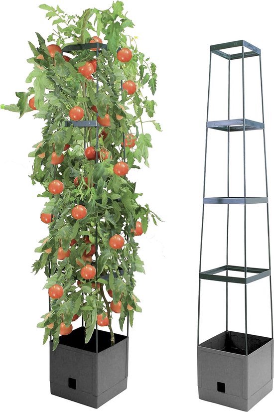 De top 10 beste planten voor een verhoogd bed
