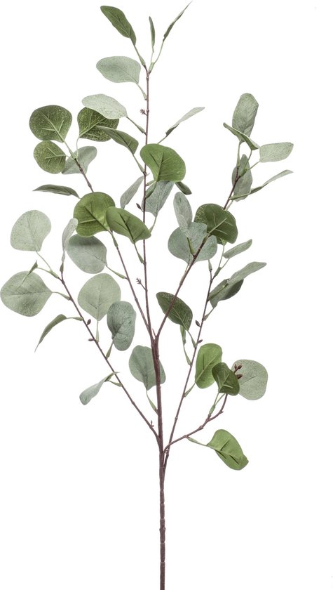 Emerald Fleur Artificielle Fleur en Soie Branche Artificielle Branche d'Eucalyptus X4 Grijs Vert 423221