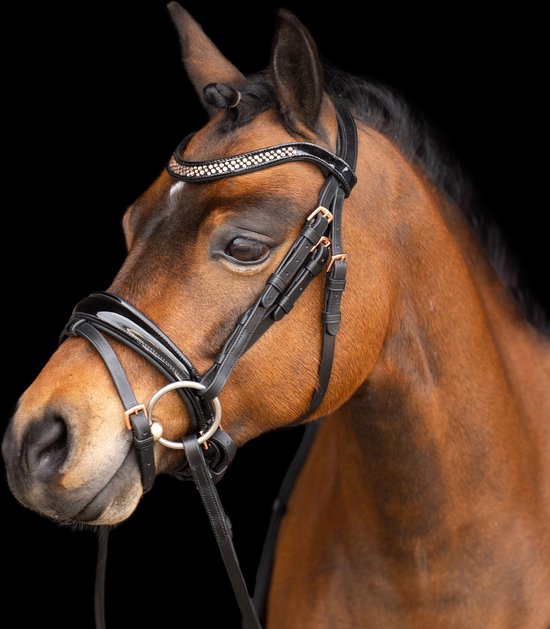 Imperial Riding Hoofdstel Petit Sapphire - Pony | Hoofdstel paard Imperial Riding Hoofdstel Petit Sapphire - Pony | Hoofdstel paard