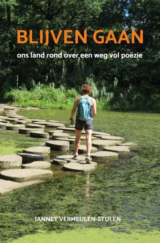BLIJVEN GAAN - cover