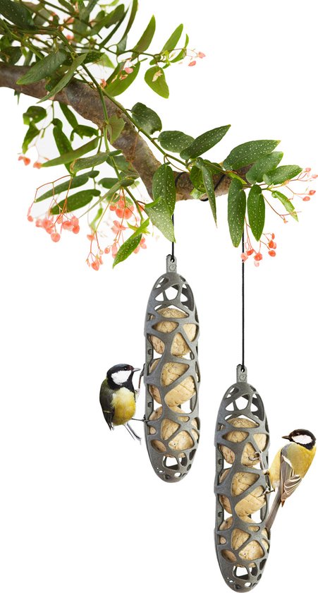 Twee koolmezen op twee grijze, opengewerkte vogelvoederhouders hangend aan een tak met roze bloesems.