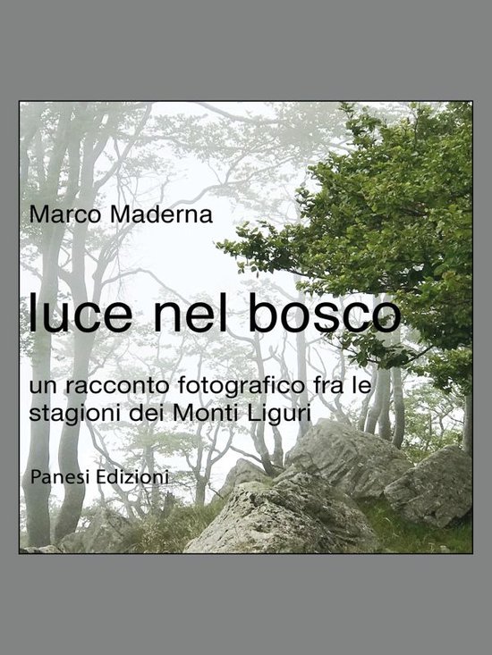 luce nel bosco - cover