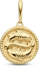 New Bling 9NBG-0277 Gouden Sterrenbeeld - Vissen - 10 mm Doorsnee - 14 Karaat - Goud