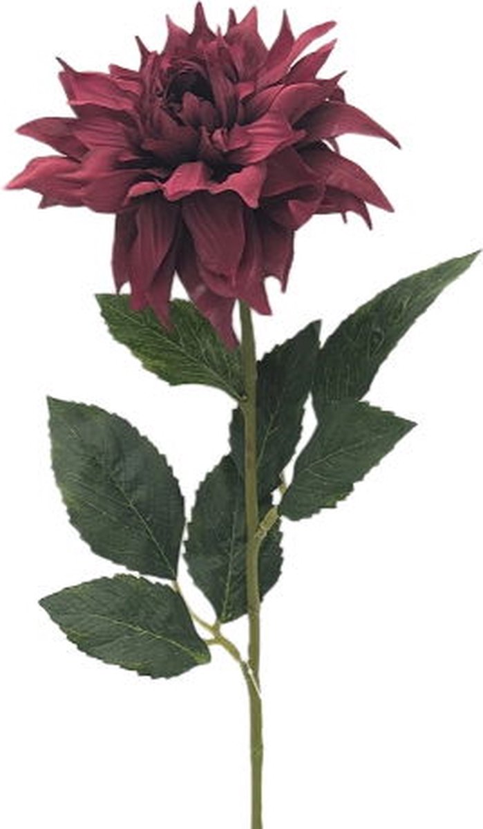 Buitengewoon Boet Kunstbloem dahlia boroodeaux, 58 cm Buitengewoon de Boet