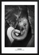 Baby Elephant Poster (70x100cm) - Wallified - Natuur - Landschap - Zee - Poster - Print - Wall-Art - Woondecoratie - Kunst - Posters