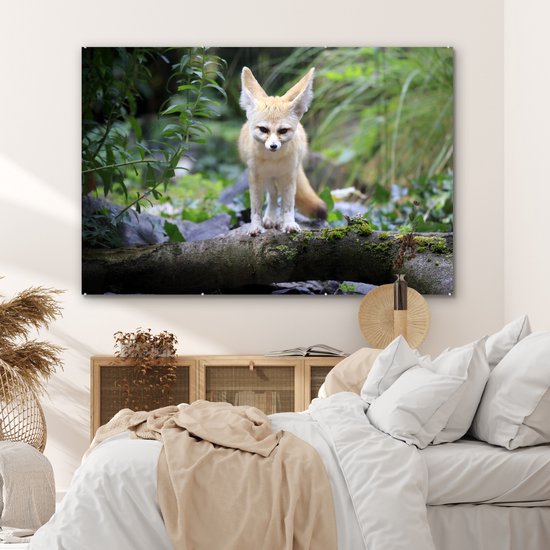 MuchoWow® Peinture sur verre 150x100 cm - Peinture sur verre acrylique - Renard - Branche - Nature - Photo sur verre - Peintures