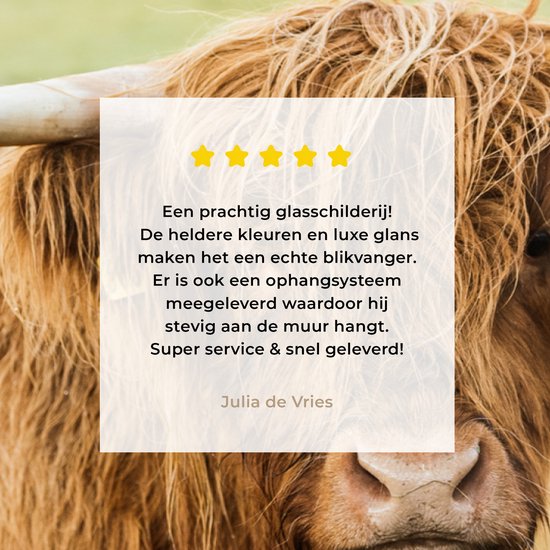 MuchoWow® Glasschilderij 180x120 cm - Schilderij acrylglas - Schotse hooglander - Hoorn - Gras - Foto op glas - Schilderijen