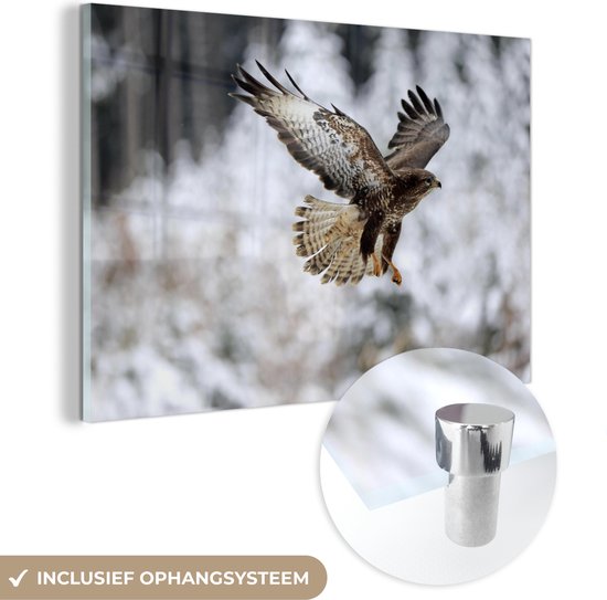 MuchoWow® Peinture sur verre 150x100 cm - Peinture sur verre acrylique - La buse des steppes vole en hiver dans un paysage enneigé - Photo sur verre - Peintures
