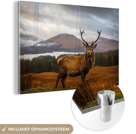 Peintures Plexiglas - Cerf - Berg - Water - 120x80 cm - Peinture sur verre