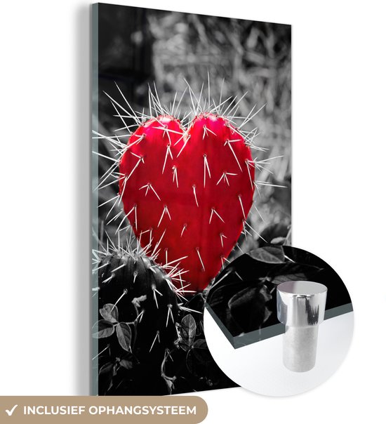 MuchoWow® Glasschilderij 80x120 cm - Schilderij acrylglas - Zwart-wit foto met een rode hartvormige cactus - Foto op glas - Schilderijen