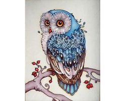 Diamond Painting Blauwe uil 30x40cm. (Volledige bedekking - Vierkante steentjes) diamondpainting inclusief tools
