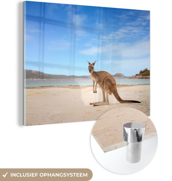 MuchoWow® Glasschilderij 80x60 cm - Schilderij acrylglas - Strand - Kangoeroe - Australië - Foto op glas - Schilderijen