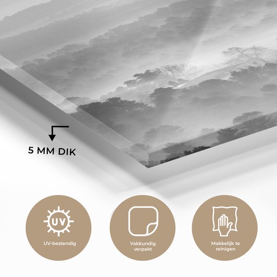 MuchoWow® Peinture sur Verre - Nature dans le Parc d'Espagne - noir et blanc - 90x120 cm - Peintures sur Verre Peintures - Photo sur Glas