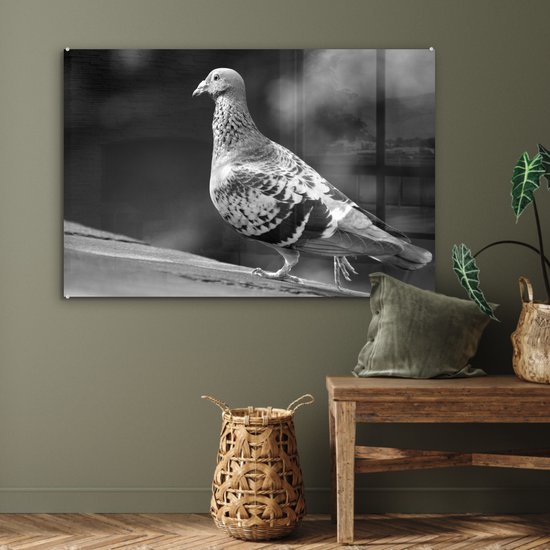 Peinture sur verre MuchoWow® - Pigeon voyageur sur un toit - noir et blanc - 120x80 cm - Peintures sur verre acrylique - Photo sur Glas