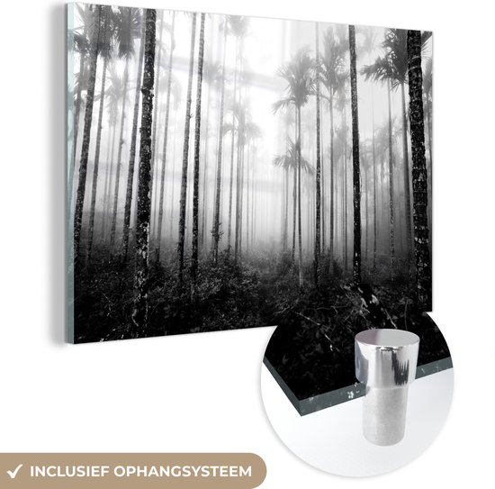 MuchoWow® Peinture sur verre 150x100 cm - Peinture sur verre acrylique - Une forêt avec palmiers et brouillard - noir et blanc - Photo sur verre - Peintures